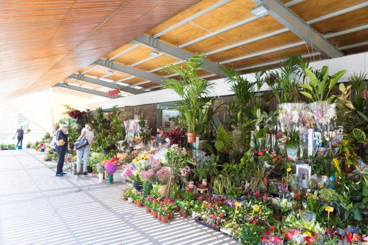 Moonkey - Apartamento El Mercado Alicante Esterno foto